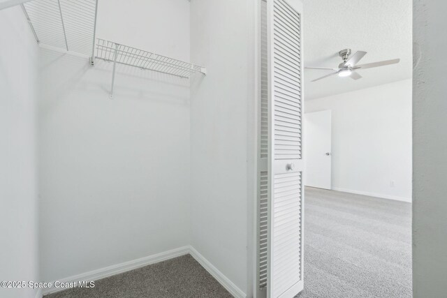 walk in closet featuring ceiling fan and carpet floors