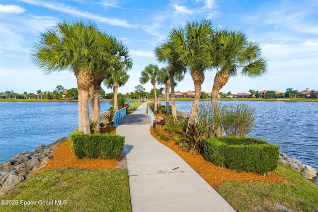 3233 Bellwind Cir, Rockledge, FL 32955 - photo 59