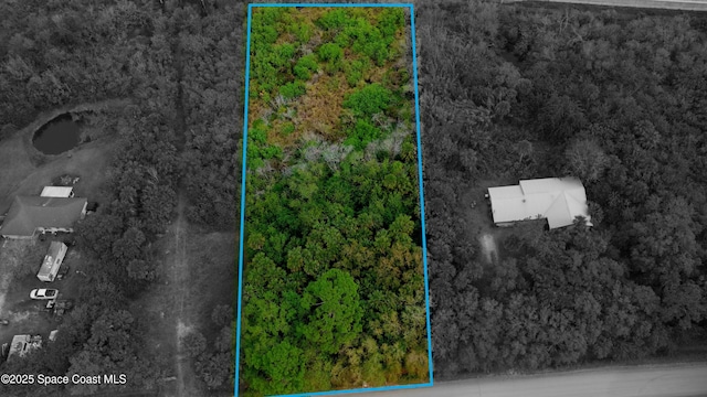 5360 Palmetto Ave, Cocoa, FL 32926