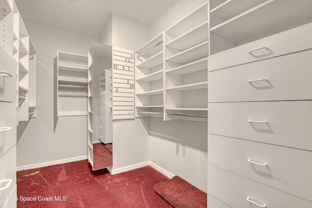 walk in closet featuring dark colored carpet
