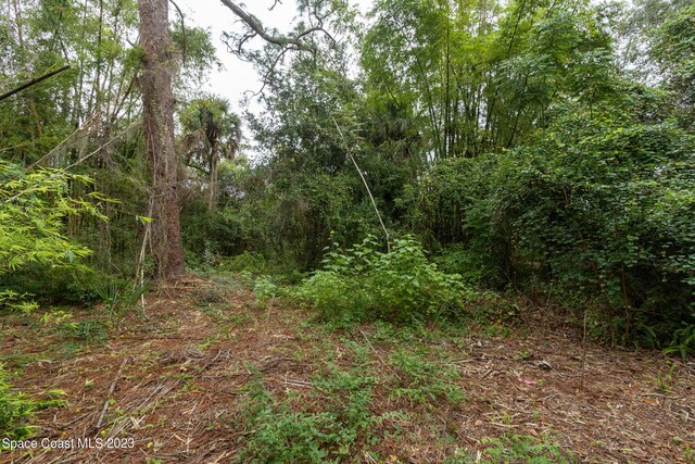 12511 Roseland Rd, Sebastian, FL 32958