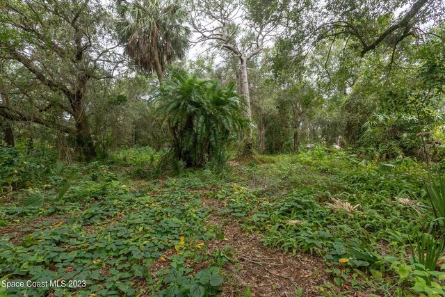 12511 Roseland Rd, Sebastian, FL 32958