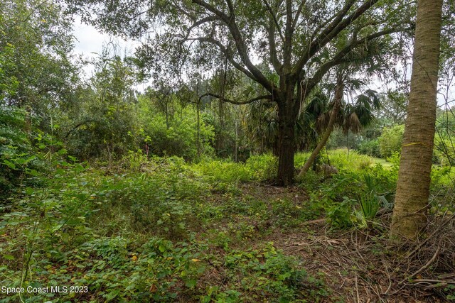 12511 Roseland Rd, Sebastian, FL 32958