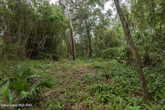 12511 Roseland Rd, Sebastian, FL 32958