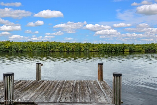 12511 Roseland Rd, Sebastian, FL 32958