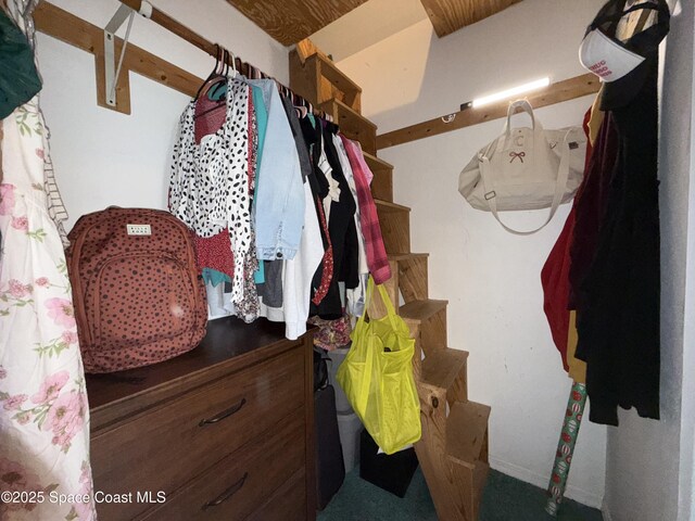 spacious closet featuring carpet floors
