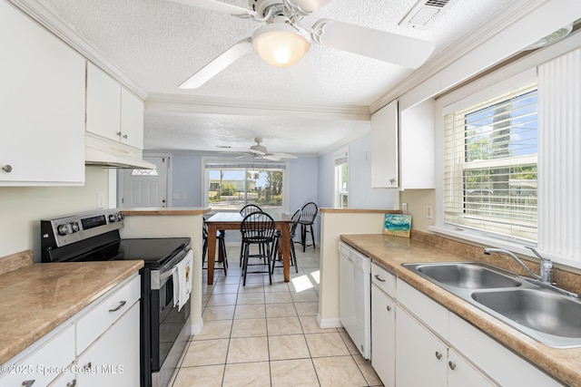 kitchen featuring a sink, dishwasher, under cabinet range hood, stainless steel electric stove, and ceiling fan