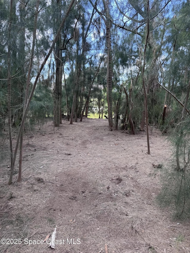 view of landscape