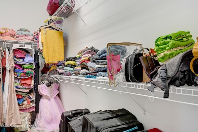 view of walk in closet