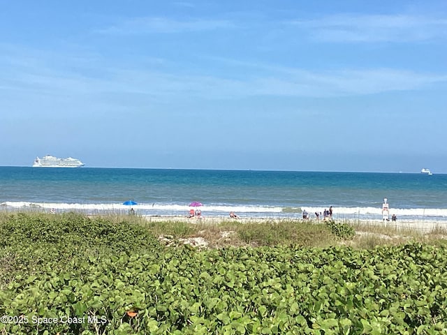 water view featuring a beach view