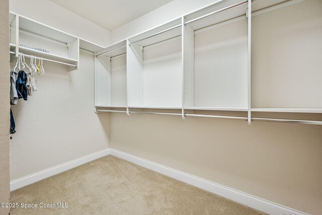 129 Lancha Cir Unit 201, Indian Harbour Beach, FL 32937 - spacious closet featuring carpet flooring
