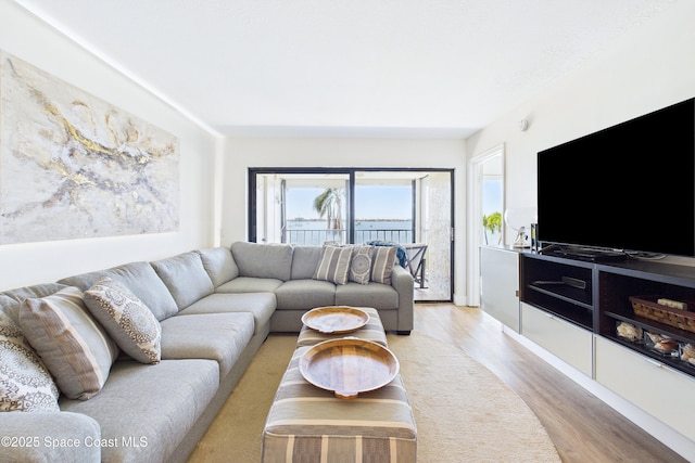 6365 Bahia Del Mar Blvd S Unit 210, Saint Petersburg, FL 33710 - living area with light wood-style flooring