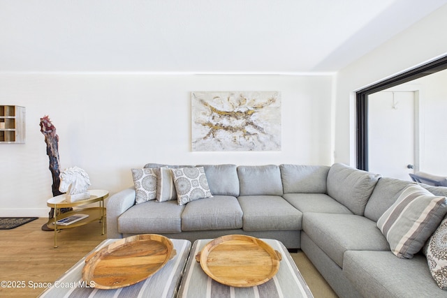 6365 Bahia Del Mar Blvd S Unit 210, Saint Petersburg, FL 33710 - living room featuring baseboards and wood finished floors