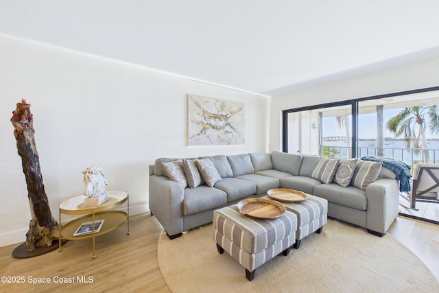 6365 Bahia Del Mar Blvd S Unit 210, Saint Petersburg, FL 33710 - living room featuring light wood-style floors