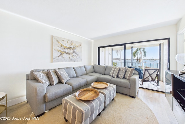 6365 Bahia Del Mar Blvd S Unit 210, Saint Petersburg, FL 33710 - living area with light wood-style floors