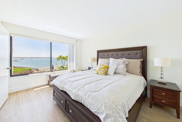 6365 Bahia Del Mar Blvd S Unit 210, Saint Petersburg, FL 33710 - bedroom with a water view, baseboards, and light wood-style flooring