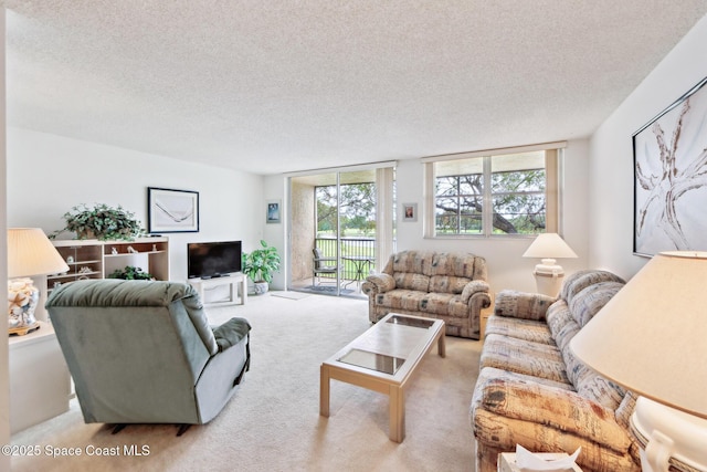 living area featuring carpet floors and a textured ceiling