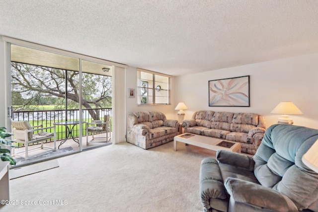 carpeted living room with floor to ceiling windows and a textured ceiling
