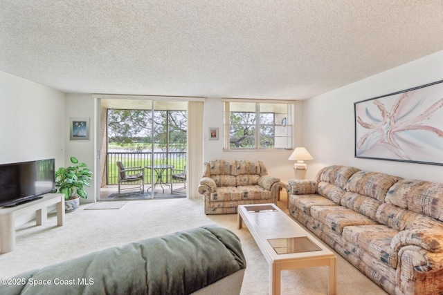 living room featuring carpet flooring and a textured ceiling