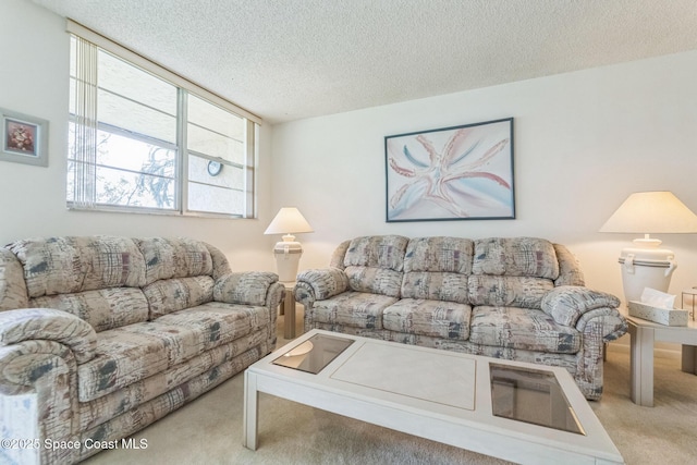 carpeted living area with a textured ceiling