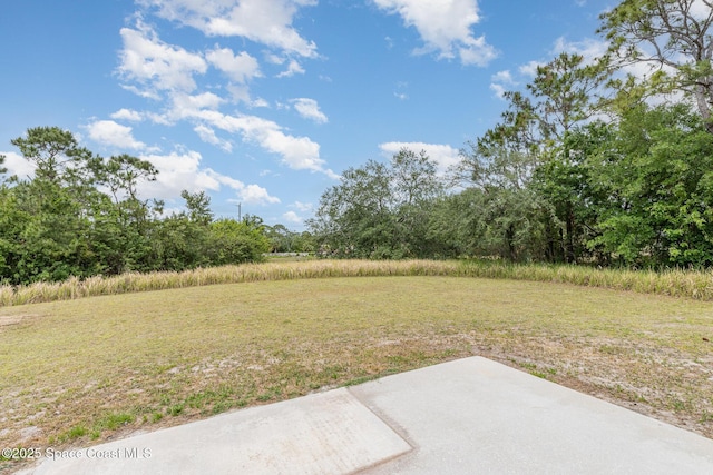 view of yard featuring a patio