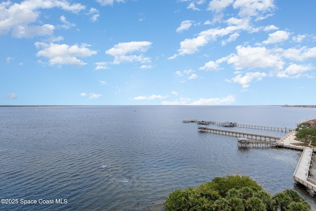 7 Indian River Ave Unit 904, Titusville, FL 32796 - photo 25