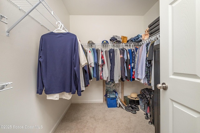 6575 Topaz Dr, Grant, FL 32949 - spacious closet with carpet floors