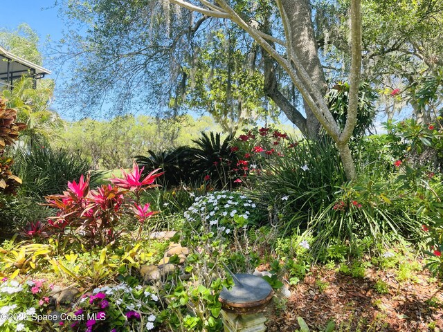 3683 Sawgrass Dr Unit 0, Titusville, FL 32780 - photo 2