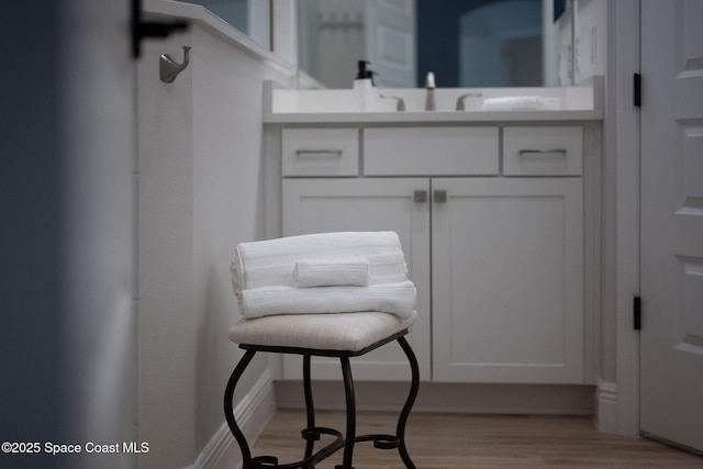 interior space featuring wood finished floors and a sink