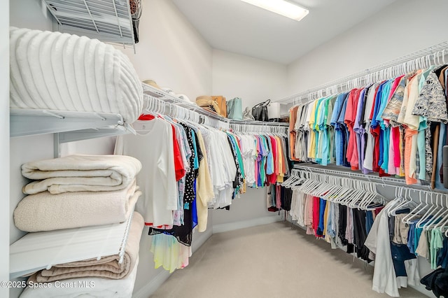walk in closet with carpet flooring