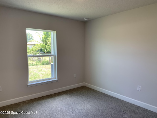 2205 Sans Souci Ave SE, Palm Bay, FL 32909 - empty room with healthy amount of natural light, carpet floors, and a textured ceiling