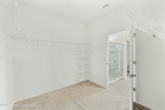 walk in closet with light colored carpet