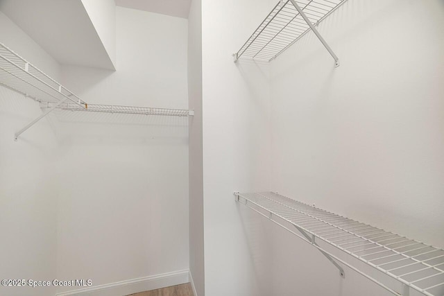spacious closet featuring light wood finished floors