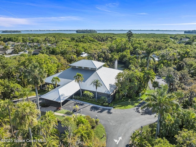 bird's eye view featuring a water view and a wooded view