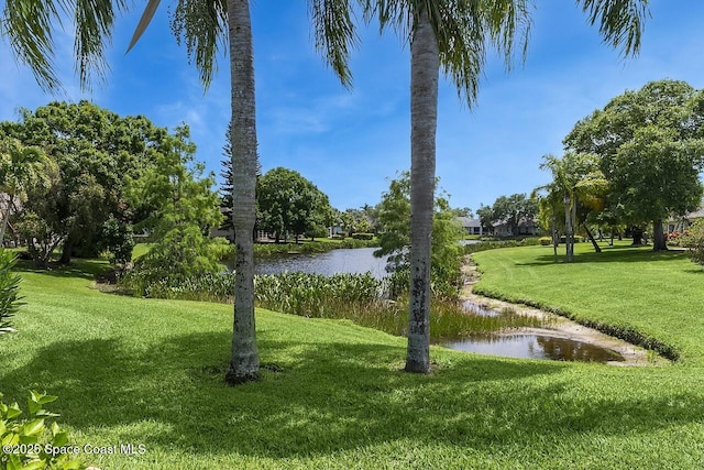 view of home's community featuring a lawn and a water view