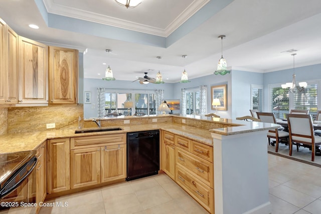 2470 Harbour Cove Dr, Hutchinson Island, FL 34949 - kitchen featuring light stone countertops, a sink, a tray ceiling, and black appliances