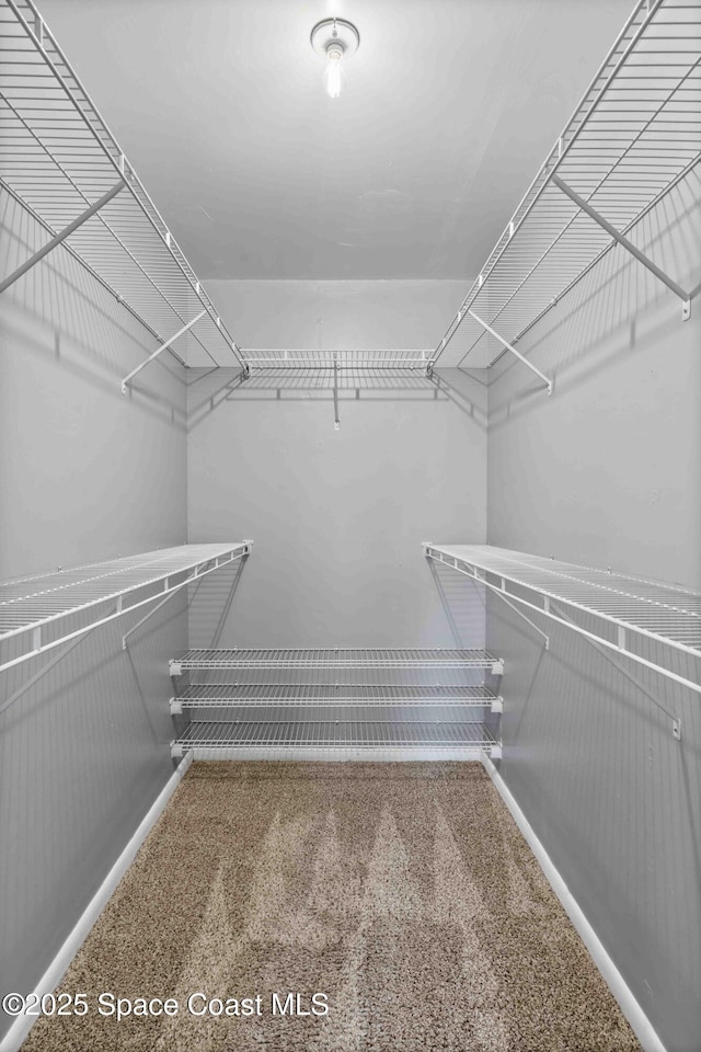 spacious closet with carpet floors