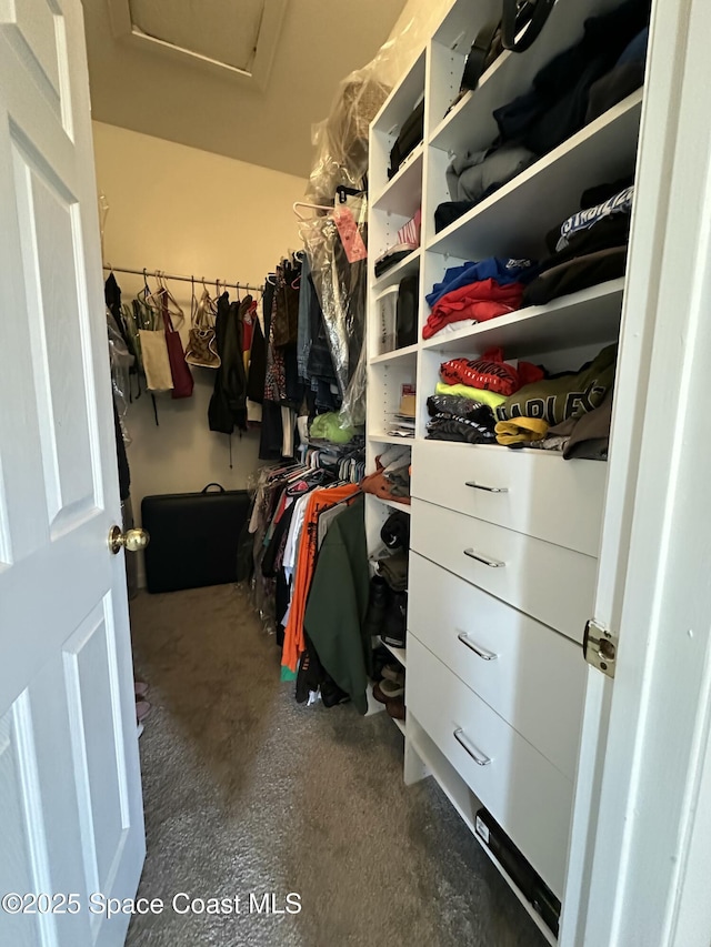 spacious closet featuring attic access