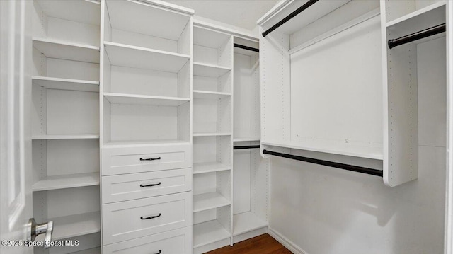 5395 Amy Way, Mims, FL 32754 - spacious closet with dark wood-type flooring