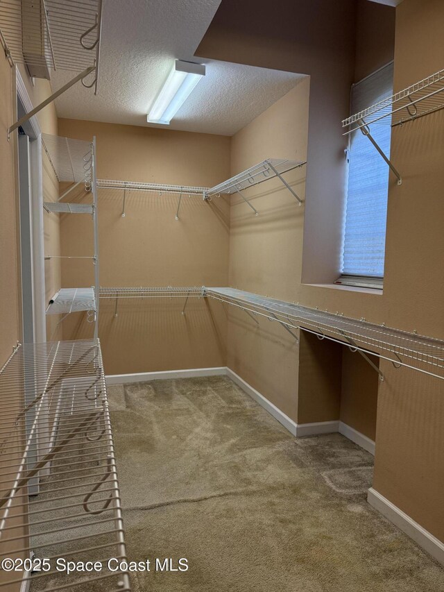 1777 Sienna Dr, Melbourne, FL 32934 - photo 12