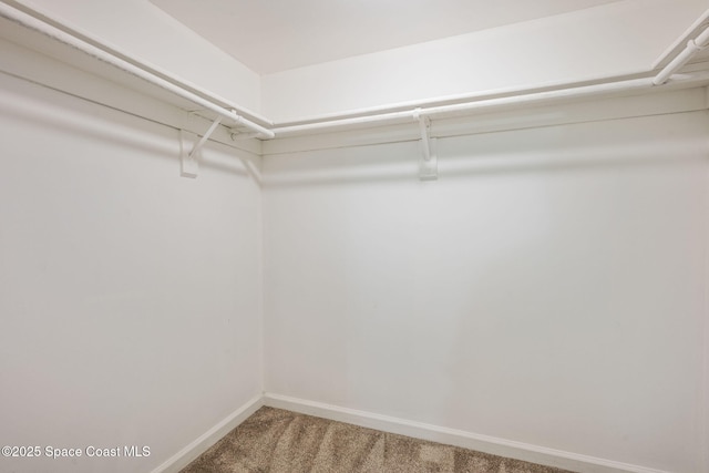315 Tangle Run Blvd Unit 1016, Melbourne, FL 32940 - photo 22