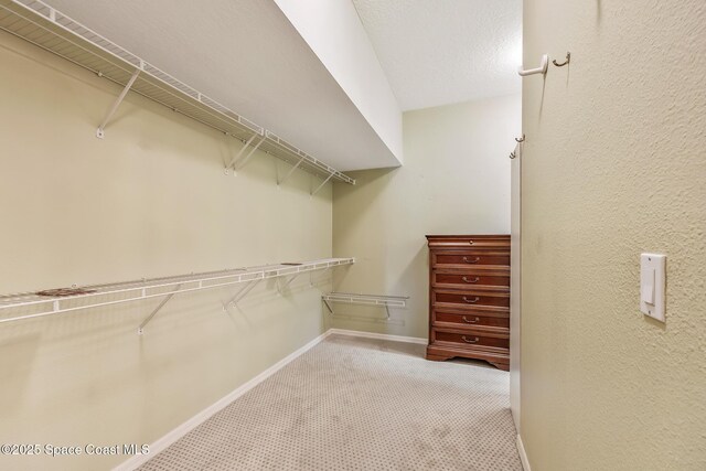 701 Baytree Dr, Titusville, FL 32780 - photo 25