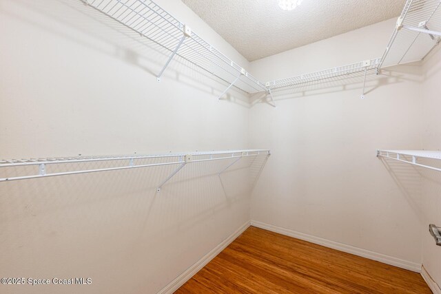 2102 E Parkton Dr, Deltona, FL 32725 - walk in closet featuring wood finished floors