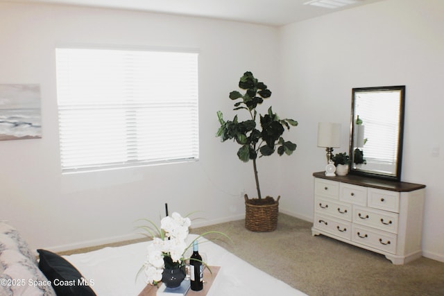 830 Remington Green Dr SE, Palm Bay, FL 32909 - interior space featuring plenty of natural light, carpet, and baseboards