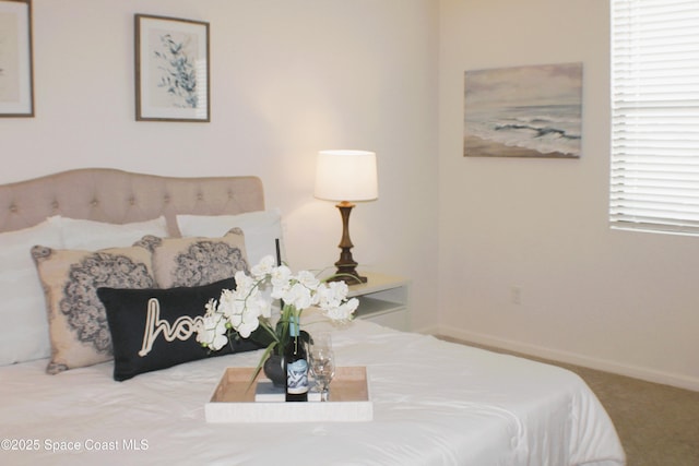 830 Remington Green Dr SE, Palm Bay, FL 32909 - bedroom featuring baseboards and carpet flooring