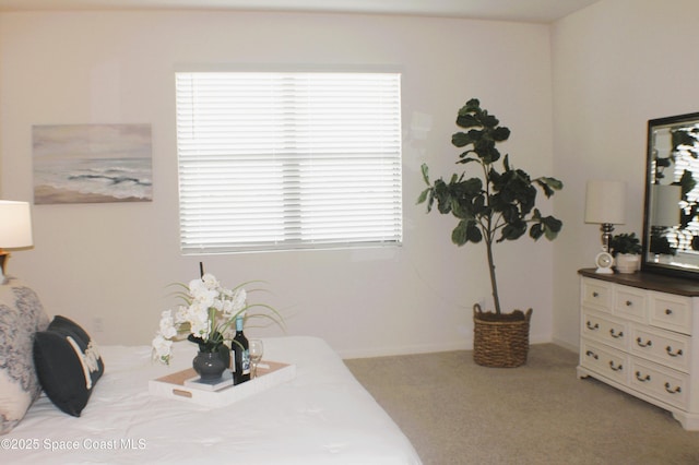 830 Remington Green Dr SE, Palm Bay, FL 32909 - bedroom featuring light colored carpet