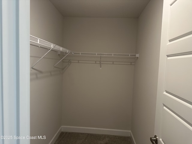 1128 Soleway Ave, Palm Bay, FL 32907 - spacious closet featuring dark colored carpet