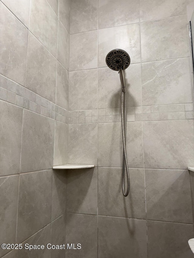 1430 Denali St SE, Palm Bay, FL 32909 - bathroom view of tiled shower