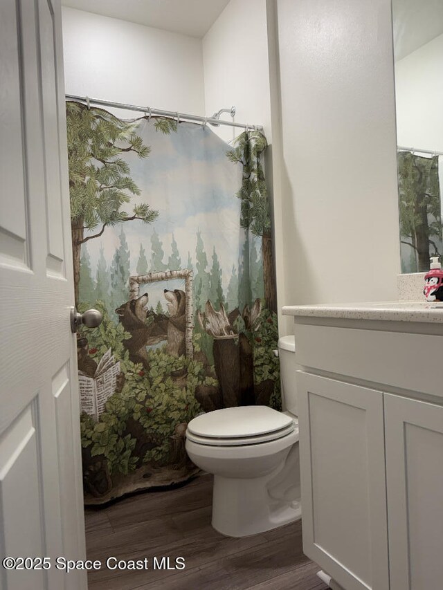 1430 Denali St SE, Palm Bay, FL 32909 - bathroom featuring wood finished floors, toilet, and vanity