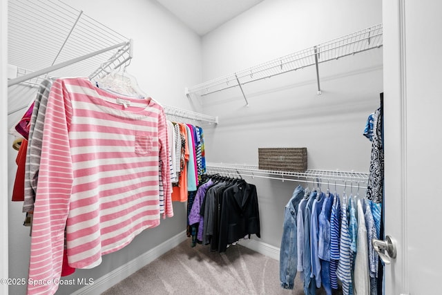 spacious closet featuring carpet